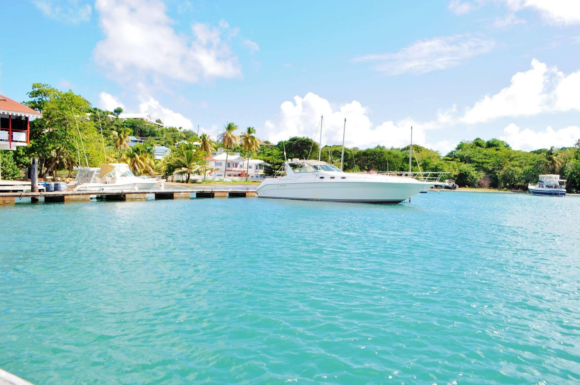 Blue Lagoon Hotel And Marina Ltd Кингстаун Екстериор снимка